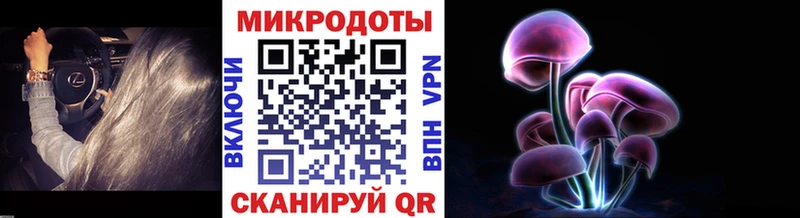 Галлюциногенные грибы GOLDEN TEACHER  дарнет шоп  Светлоград 